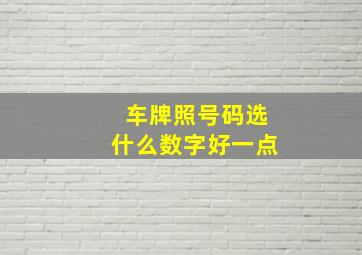 车牌照号码选什么数字好一点