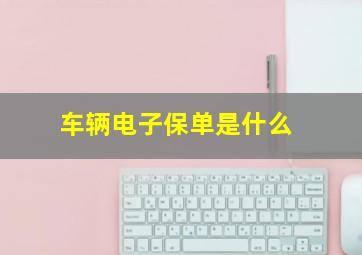 车辆电子保单是什么