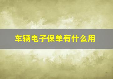 车辆电子保单有什么用