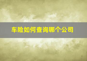 车险如何查询哪个公司