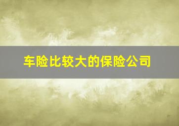 车险比较大的保险公司