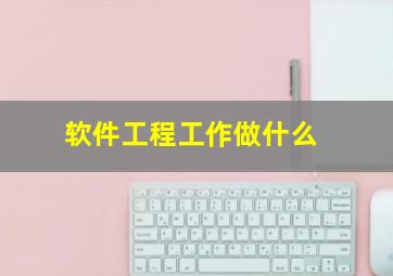 软件工程工作做什么