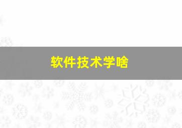 软件技术学啥