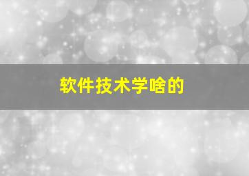 软件技术学啥的