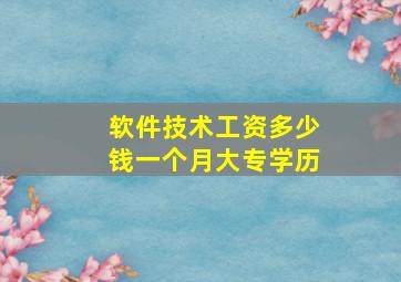 软件技术工资多少钱一个月大专学历