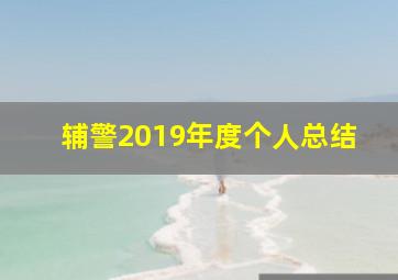 辅警2019年度个人总结