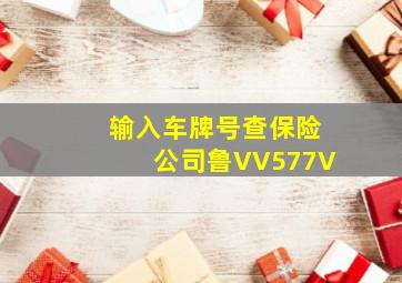 输入车牌号查保险公司鲁VV577V