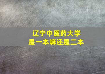 辽宁中医药大学是一本嘛还是二本