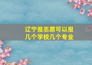 辽宁报志愿可以报几个学校几个专业