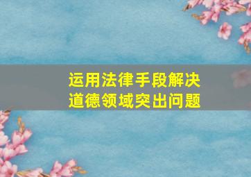 运用法律手段解决道德领域突出问题