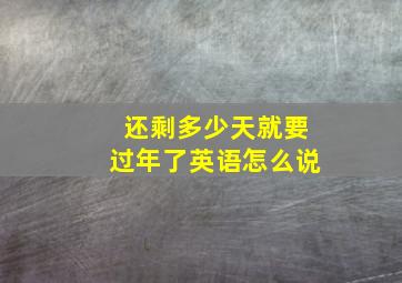 还剩多少天就要过年了英语怎么说