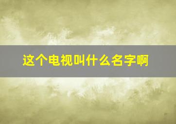 这个电视叫什么名字啊