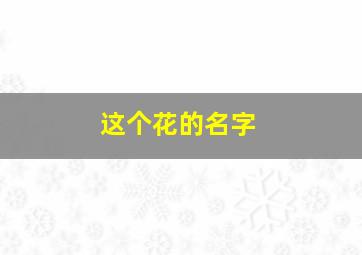 这个花的名字