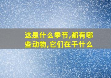 这是什么季节,都有哪些动物,它们在干什么