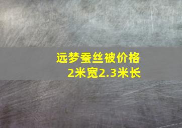 远梦蚕丝被价格2米宽2.3米长