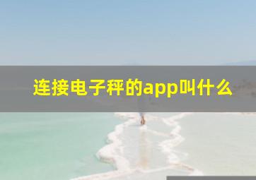 连接电子秤的app叫什么