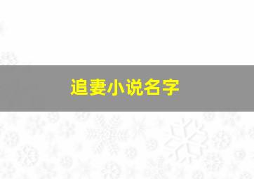 追妻小说名字