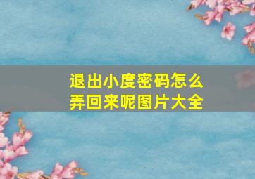 退出小度密码怎么弄回来呢图片大全