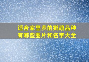 适合家里养的鹦鹉品种有哪些图片和名字大全