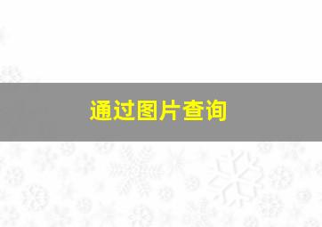 通过图片查询