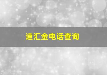 速汇金电话查询