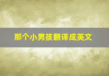 那个小男孩翻译成英文