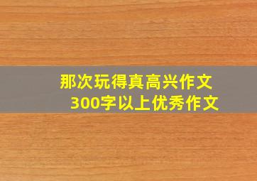 那次玩得真高兴作文300字以上优秀作文