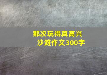 那次玩得真高兴沙滩作文300字