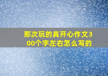 那次玩的真开心作文300个字左右怎么写的