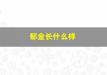 郁金长什么样