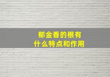 郁金香的根有什么特点和作用