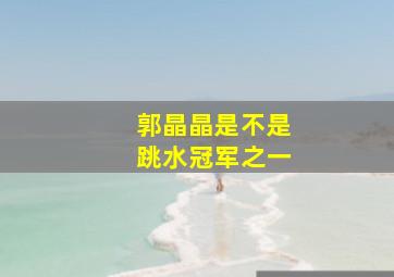 郭晶晶是不是跳水冠军之一