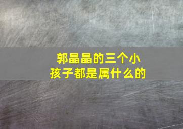 郭晶晶的三个小孩子都是属什么的