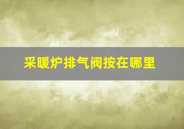 采暖炉排气阀按在哪里