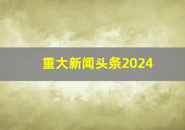 重大新闻头条2024