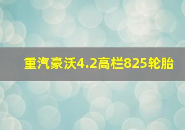 重汽豪沃4.2高栏825轮胎