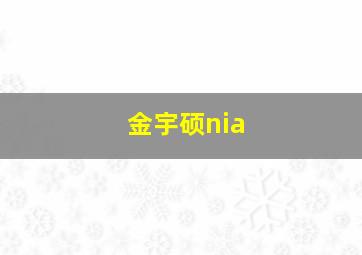 金宇硕nia