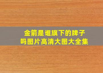 金箭是谁旗下的牌子吗图片高清大图大全集