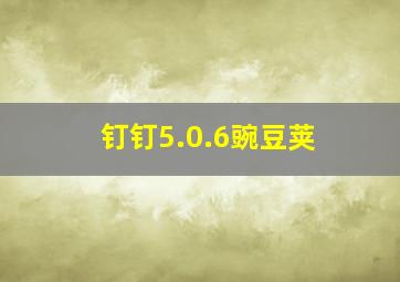 钉钉5.0.6豌豆荚