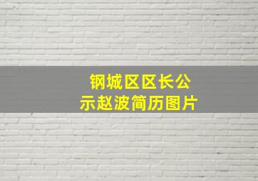 钢城区区长公示赵波简历图片