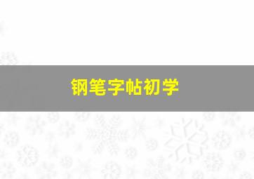 钢笔字帖初学