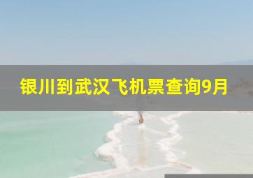 银川到武汉飞机票查询9月