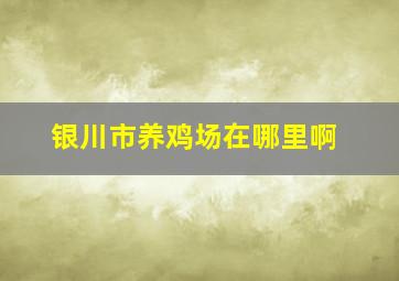 银川市养鸡场在哪里啊