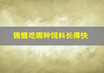 锦鲤吃哪种饲料长得快