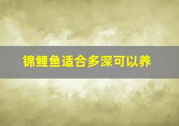 锦鲤鱼适合多深可以养