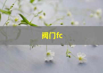 阀门fc