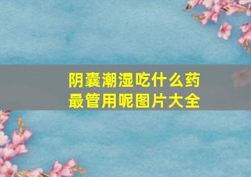 阴囊潮湿吃什么药最管用呢图片大全