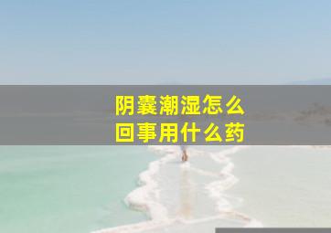 阴囊潮湿怎么回事用什么药