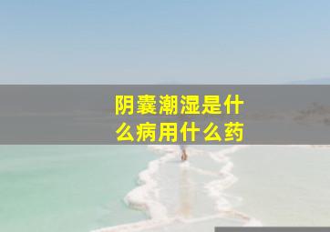 阴囊潮湿是什么病用什么药