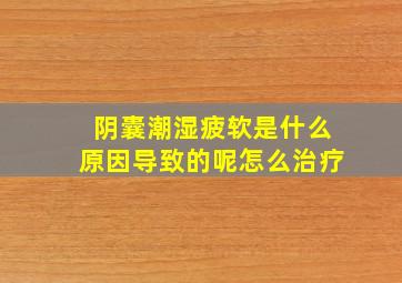 阴囊潮湿疲软是什么原因导致的呢怎么治疗